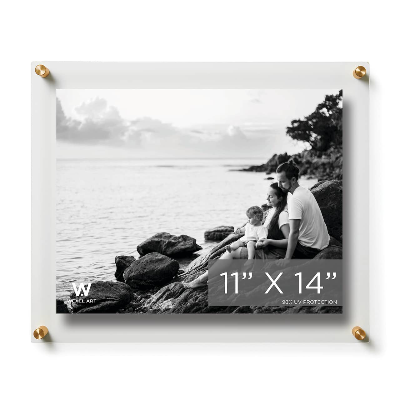 Wexel Art Double Panel Clear Acrylic Floating Wall Frame with Gold Hardware